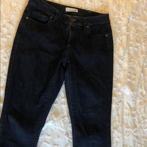 Ann Taylor Loft Jeans